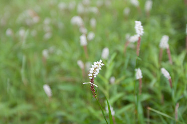 Similar image 119613