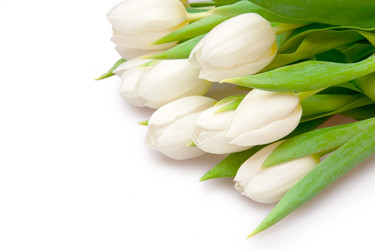 Similar image 119616