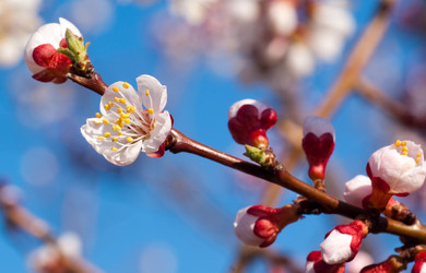 Similar image 119625