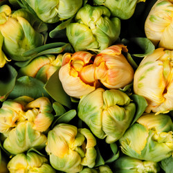 Similar image 119627