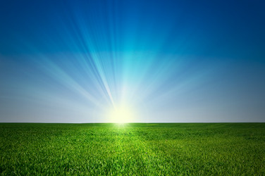 Similar image 119645