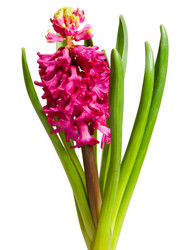 Similar image 119666