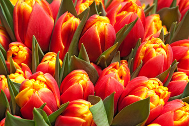 Similar image 119673