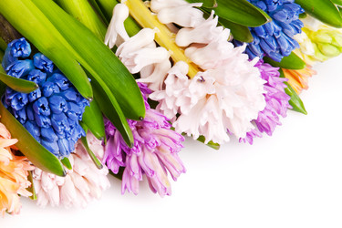 Similar image 119675