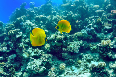 Similar image 119735