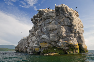 Similar image 119755