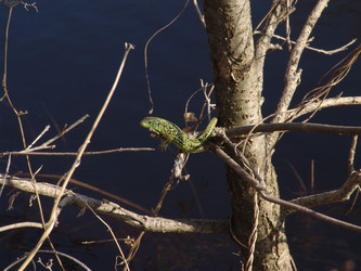 Similar image 119762