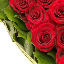 Similar image 119768