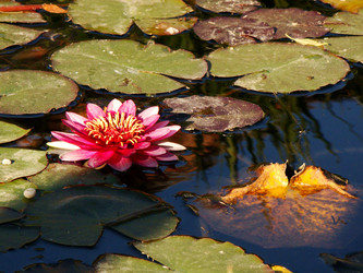 Similar image 119788