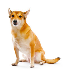 Similar image 119794