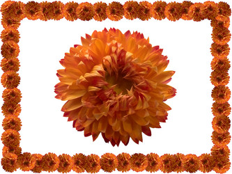 Similar image 119803