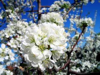 Similar image 119808