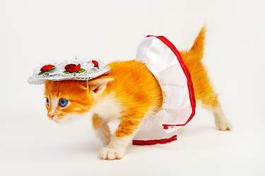 Similar image 119832