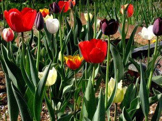 Similar image 119839