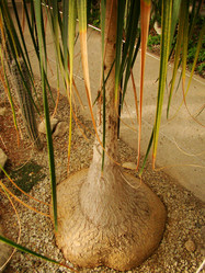 Similar image 119857