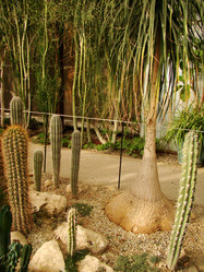 Similar image 119858