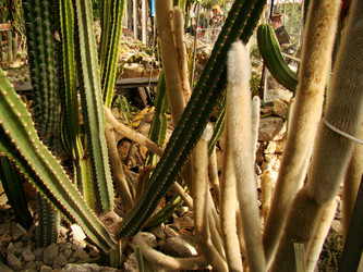 Similar image 119864