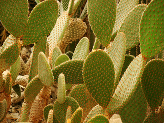 Similar image 119866