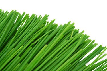 Similar image 119872