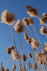 Similar image 119958