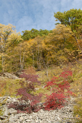 Similar image 120003