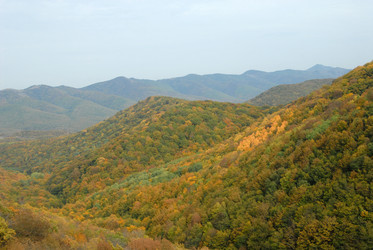 Similar image 120008