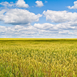 Similar image 120024