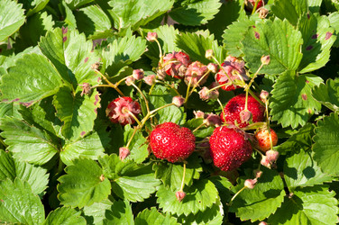 Similar image 120027