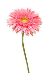 Similar image 120050