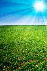 Similar image 120078