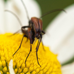 Similar image 120087