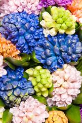 Similar image 120088