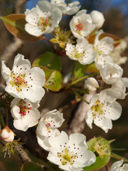 Similar image 120097