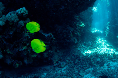 Similar image 120105