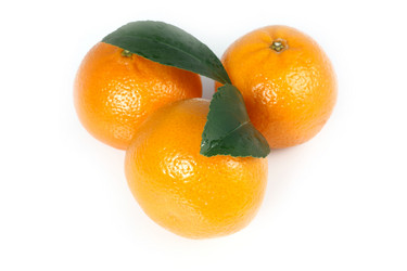 Similar image 120226