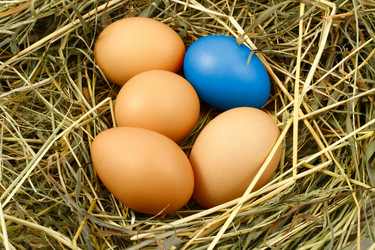 Similar image 120230