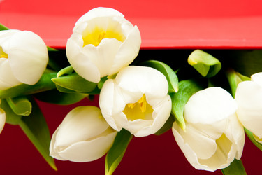 Similar image 120266