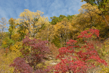 Similar image 120282