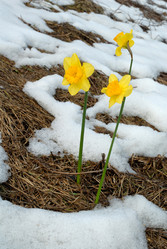 Similar image 120292