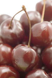 Similar image 120325