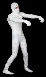 Similar image 120457