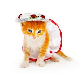 Similar image 120500