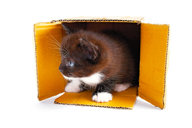 Similar image 120504