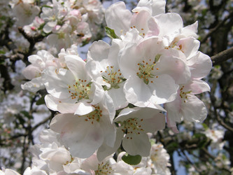 Similar image 120513