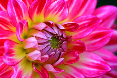 Similar image 120555