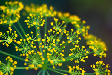 Similar image 120590