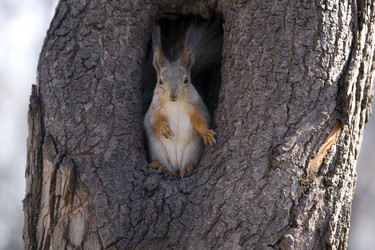 Similar image 120605