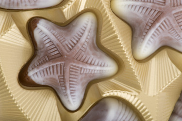 Similar image 120619