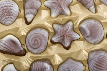 Similar image 120620