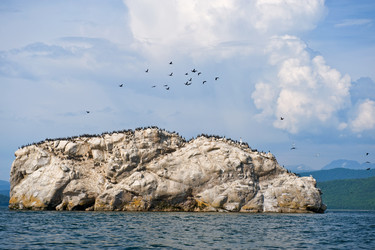 Similar image 120628